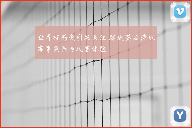 世界杯感受引发关注 球迷赛后热议赛事氛围与观赛体验