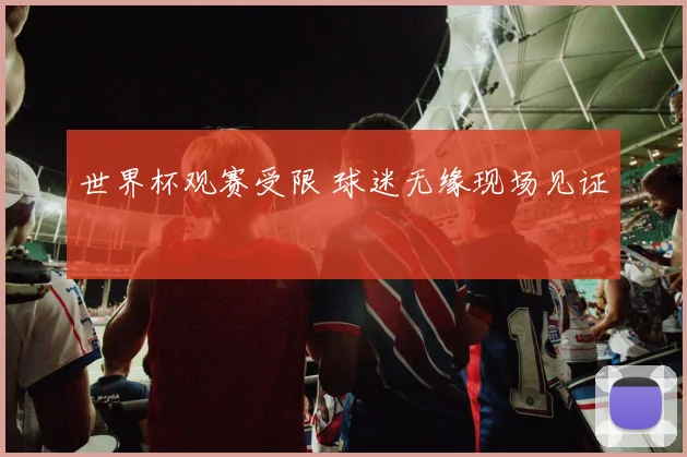 世界杯观赛受限 球迷无缘现场见证