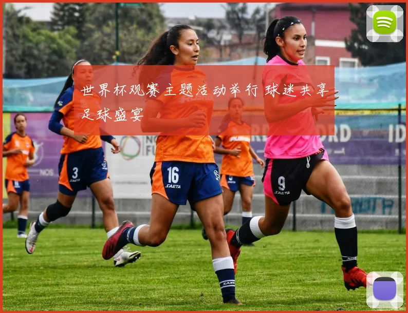 世界杯观赛主题活动举行 球迷共享足球盛宴