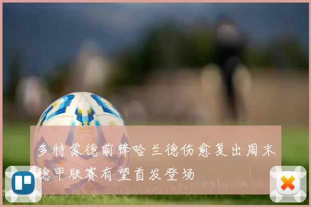 多特蒙德前锋哈兰德伤愈复出周末德甲联赛有望首发登场