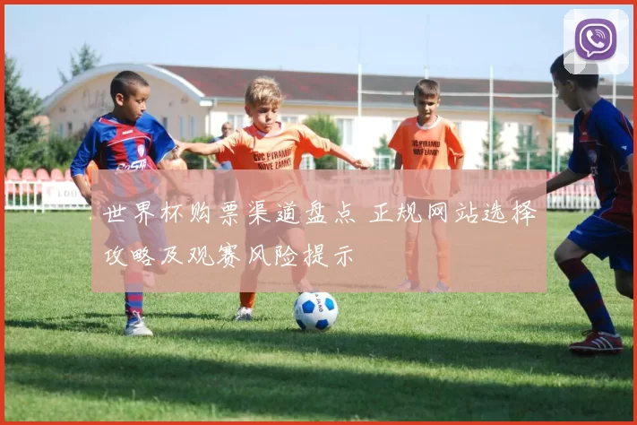 世界杯购票渠道盘点 正规网站选择攻略及观赛风险提示