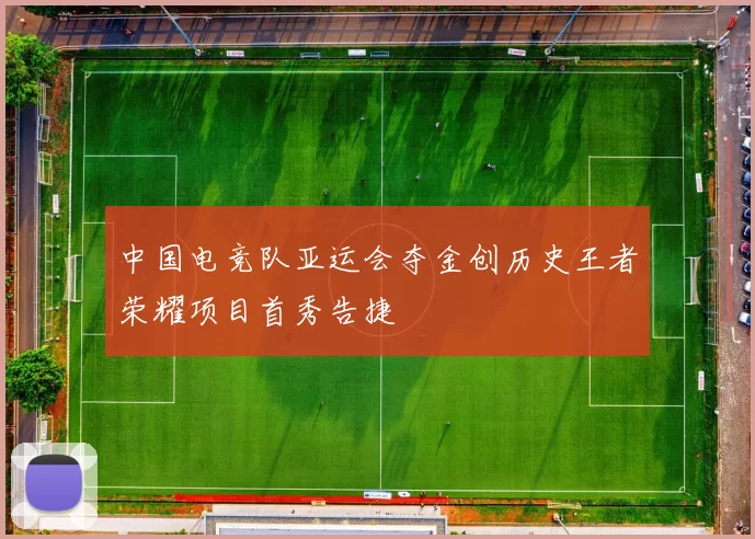 中国电竞队亚运会夺金创历史王者荣耀项目首秀告捷