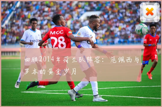 回顾2014年荷兰队阵容:范佩西与罗本的黄金岁月
